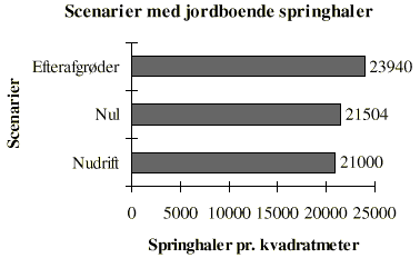 Fig.  Beregninger af den gennemsnitlige tthed af springhaler i jorden
under Nudrift og i Nulscenariet. Til sammenligning er vist en beregning, hvor
der anvendes efterafgrder i alle vrafgrder. (5 Kb)