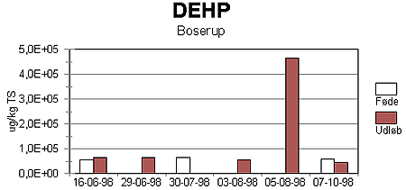 Figur 2-33. Koncentration af DEHP i fde og udlb fra CSTR-reaktor krt med Boserup primrslam.