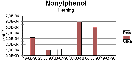 Figur 2-41. Koncentration af nonylphenol i fde og udlb fra CSTR-reaktor krt med Herning primrslam.