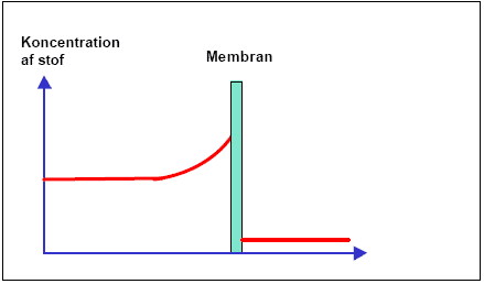 Figur 1.2 Illustration af koncentrationspolarisering