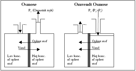 Figur 1.5 Illustration af principperne i osmose og omvendt osmose
