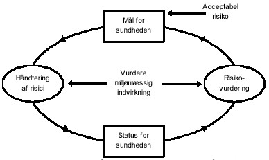 Figur 2.1  Cyklus til vurdering og håndtering af sundhedsricisi. Optegnet på baggrund af Fewtrell og Bartram (2001)