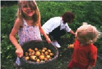 Børn med Kartofler