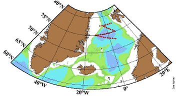 FIGUR  6:  DET   BIOGEOKEMISKE   KULSTOFKREDSLØB   OG   OCEANCIRKULATIONEN   I THE  NORTHERN  NORTH  ATLANTIC  PROGRAMME  (DE  RØDE  STREGER  ILLUSTRERER OBSERVATIONSRUTER)