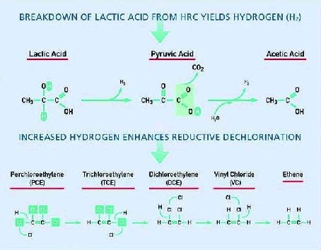 Figur 2.1 Oversigt over kemiske reaktioner i forbindelse med HRC og anaerob deklorering (Regenesis, 2001). 