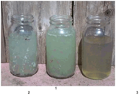 Figur 6: Eksempel på gråvandets udseende ved forskellige behandlingstrin