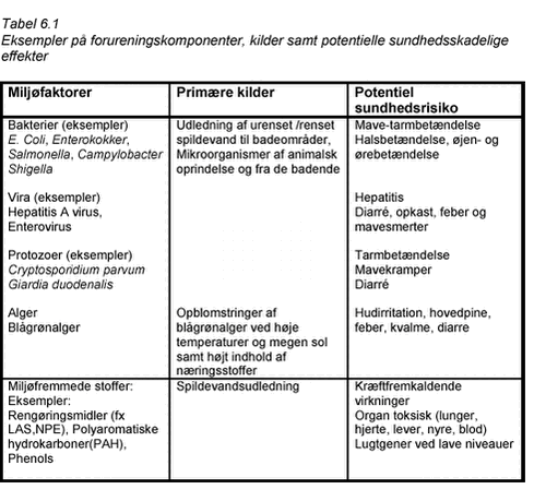 Klik på billedet for at se html-versionen af: ‘‘Tabel 6.1‘‘