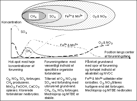 Figur 3 Skematisk rumlig fordeling af indholdet af elektronacceptorer og reaktionsprodukter i en forureningsfane med organiske stoffer