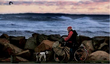 Mand med hund og cykel kigger ud over havet