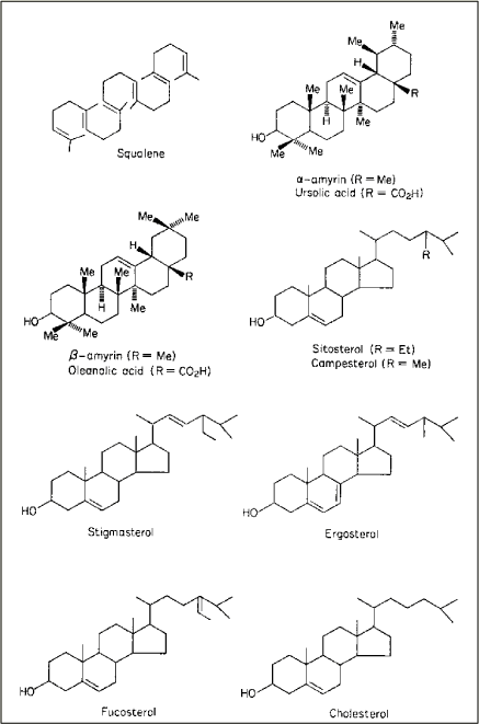Figur 12-4. Strukturer af en række triterpenoider