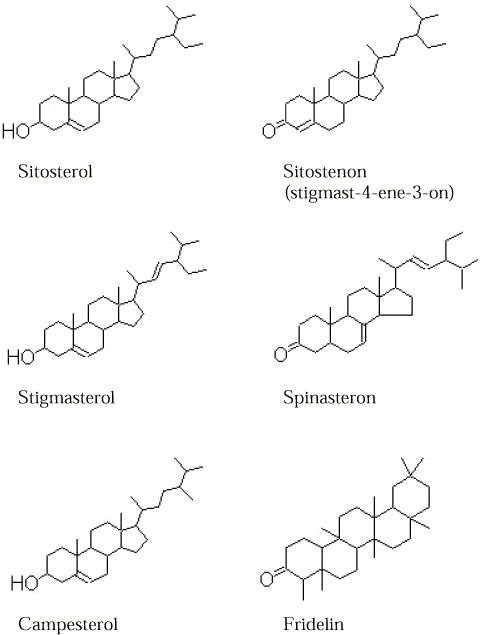 molekylemodeller, Sitosterol, Sitostenon (stigmast-4-ene-3-on), Stigmasterol, Spinasteron, Campesterol, Fridelin
