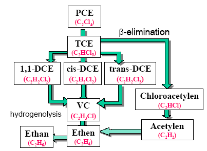 Figur 1. Skitse af de to mulige nedbrydningsveje, hydrogenolyse og β-elimination for stoffet PCE.