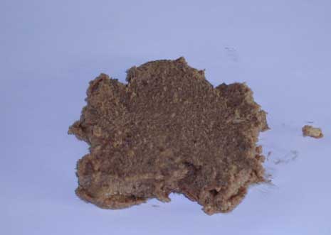 Figur 4.14 Foto af den tilførte Daka biogaspulp, materialet fremstår som en meget findelt homogen brungrå masse med konsistens som fedtet grød