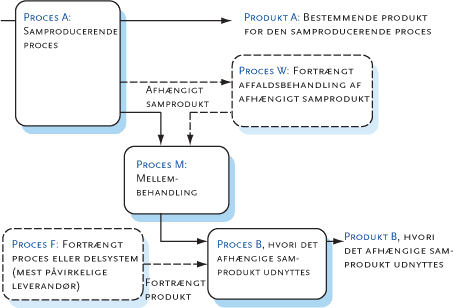 Figur 3.1 Model til at beskrive systemudvidelse og afgrænsning for fælles produktion.