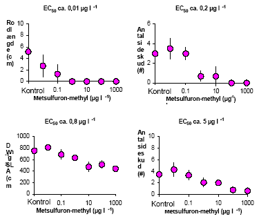 Figur 14. Udviklingen i fire forskellige morfologiske karakterer hos <em>Elodea canadensis </em>som funktion af koncentrationen af metsulfuron-methyl. Data er fra forsøg 2 med flere arter (Kapitel 4)