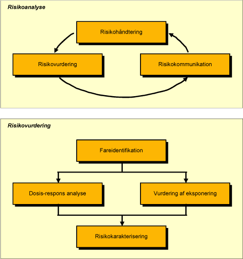 Figur 4 Oversigt over forløb af en risikoanalyse med specifikation af processerne i en risikovurdering.