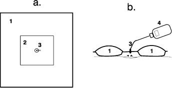 Figur 1. Opbygning af mundstykke ”VaporCover”: (a) set fra oven, (b) set fra siden med gasdetektor tilsluttet. (1): Gastæt folie, område indeholdende finkornet fyldningsmateriale (2) gastæt folie, område uden fyldning, (3) studs, gennemgående med f.eks. 6 mm OD teflonslange, (4) gasdetektor.