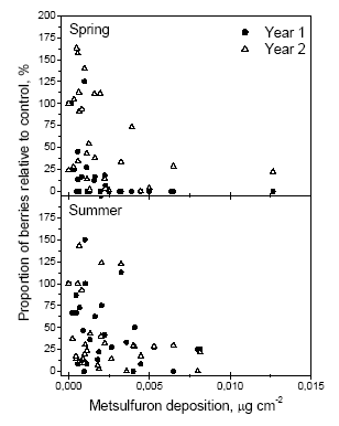 Figure 1. Comparison of percentage effects on the amount of berries in the year of exposure and the year after. The figure is based on the number of berries on side shoots the first year and the number counted in 0.1225m2 frames in the second year