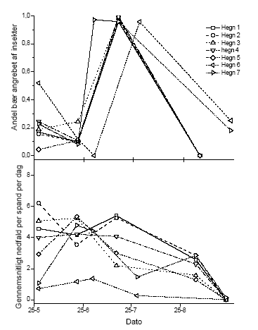 Figur 3.3 Nedfald af frugtanlæg og frugter i spande under usprøjtede træer. Øverst vises den andel, der er angrebet af insekter og nederst det samlede nedfald af reproduktive enheder i forhold til tidspunkt på sæsonen
