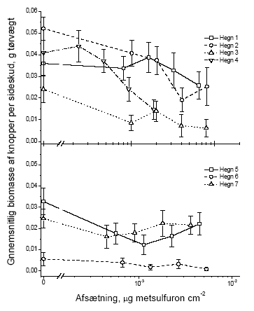 Figur 3.7 Sammenhængen mellem sprøjtemiddeldosis og gennemsnitsvægten af knopper i et sideskud året efter en sommersprøjtning med metsulfuron. Data er præsenteret hvert hegn for sig. Stolperne repræsenterer ± standardfejlen på middeltallet