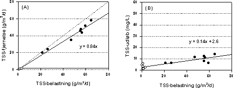 Figur 5.4 (A) Gennemsnitlig fjernelse af suspenderet stof (TSS) i de to beplantede filteranlæg, og (B) gennemsnitlig afløbskoncentration i de 8 målekampagner som funktion af arealbelastning. Fyldte symboler er data fra det første bed, og åbne symboler er data fra det andet bed. Den stiplede linie indikerer fuldstændig fjernelse.