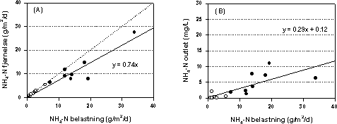 Figur 5.9 (A) Gennemsnitlig fjernelse af ammonium-N i de to beplantede filteranlæg. og (B) gennemsnitlig afløbskoncentration i de 8 målekampagner som funktion af arealbelastning. Fyldte symboler er data fra det første bed, og åbne symboler er data fra det andet bed. Den stiplede linie indikerer fuldstændig fjernelse.