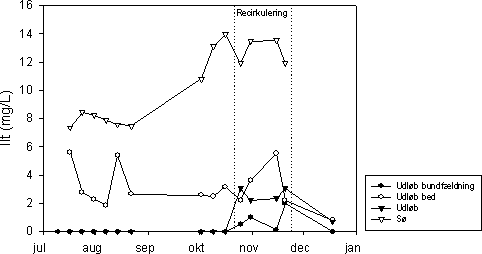 Figur 7.3 Koncentrationen af opløst ilt (mg/L) I indløb (afløb fra bundfældningstank), afløb fra det beplantede filter, og udløbet fra anlægget ved Mosehuset, 2002. Søen er anlæggets recipient.