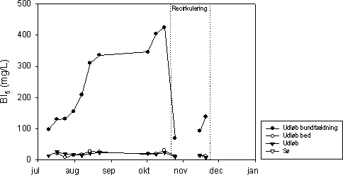 Figur 7.5 Koncentration af BI5 i indløb (afløb fra bundfældningstank), afløb fra det beplantede filter, og udløbet fra anlægget ved Mosehuset, 2002. Der er ikke analyseret BI5 i søen.