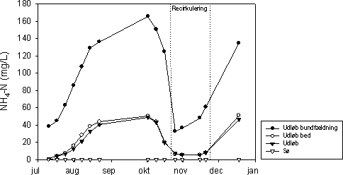 Figur 7.6 Koncentration af NH4-N i indløb (afløb fra bundfældningstank), afløb fra det beplantede filter, udløbet fra anlægget, og søen ved Mosehuset, 2002.