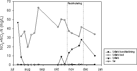 Figur 7.7 Koncentration af NO2+NO3-N i indløb (afløb fra bundfældningstank), afløb fra det beplantede filter, udløbet fra anlægget, og søen ved Mosehuset, 2002.