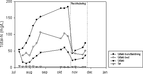 Figur 7.8 Koncentration af Total-N i indløb (afløb fra bundfældningstank), afløb fra det beplantede filter, udløbet fra anlægget, og søen ved Mosehuset, 2002.