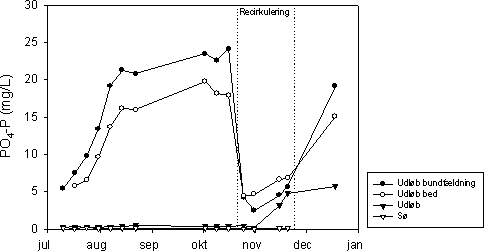 Figur 7.9 Koncentration af opløst fosfor (PO4-P) i indløb (afløb fra bundfældningstank), afløb fra det beplantede filter, udløbet fra anlægget, og søen ved Mosehuset, 2002.