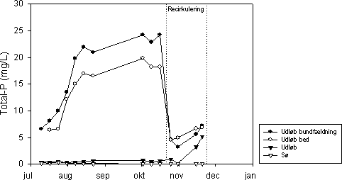 Figur 7.10 Koncentration af Total-P i indløb (afløb fra bundfældningstank), afløb fra det beplantede filter, udløbet fra anlægget, og søen ved Mosehuset, 2002.