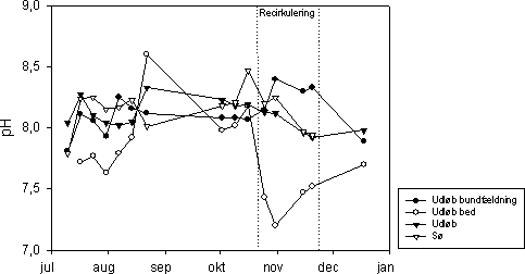 Figur 7.13 pH i indløb (afløb fra bundfældningstank), afløb fra det beplantede filter, og udløbet fra anlægget ved Mosehuset, og søen ved Mosehuset, 2002