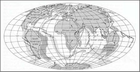Figur 16.9 Kontinenternes placering, som den kunne se ud om 50 mio. år