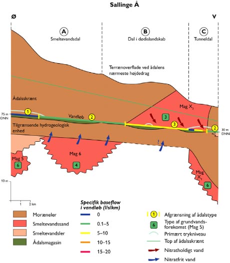 Figur 9.9. Skitse af geologisk opbygning langs Sallinge Å (ådalsmorfologisk delstrækning A, B og C). Vandløbet illustreres af den flerfarvede linie midt i profilet. Farverne angiver den specifikke baseflow afstrømning i vandløbet. Toppen af ådalsskrænten og det primære trykniveau i de dybe grundvands-magasiner er også illustreret, ligesom afgrænsning af Ådalstyper og klassifikation af typer af grundvandsforekomster ifølge tabel 1.1. Endelig skelnes der mellem, om det tilstrømmende grundvand er nitratholdigt eller nitratfrit.