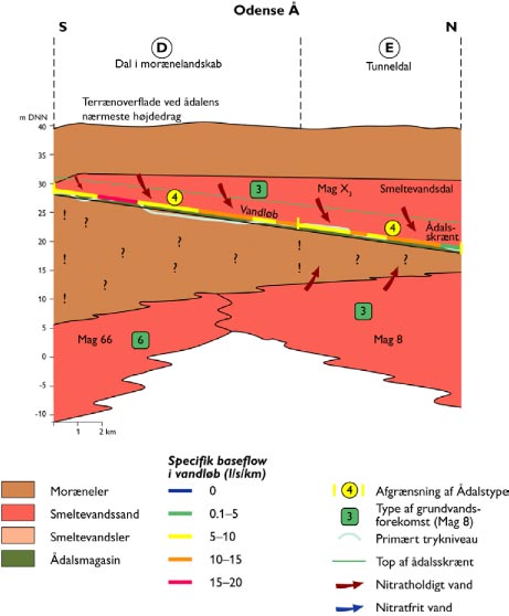 Figur 9.10. Skitse af geologisk opbygning langs den midterste del af Odense Å (ådalsmorfologisk delstrækning D og E). Vandløbet illustreres af den flerfarvede linie midt i profilet. Farverne angiver den specifikke baseflow afstrømning i vandløbet. Toppen af ådalsskrænten og det primære trykniveau i de dybe grundvandsmagasiner er også illustreret, ligesom afgrænsning af Ådalstyper og klassifikation af typer af grundvandsforekomster ifølge tabel 1.1. Endelig skelnes der mellem, om det tilstrømmende grundvand er nitratholdigt eller nitratfrit.