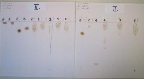 Foto 4-1 Eksempel på TLC i elueringssystem II af referencestoffer og ekstrakter af prøver efter fremkaldelse med jod.