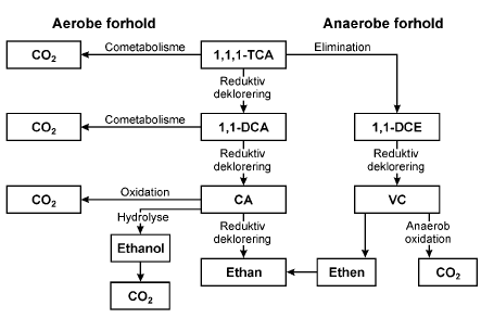 Figur 2.3. Nedbrydning af 1,1,1-TCA ved biologiske og abiotiske processer