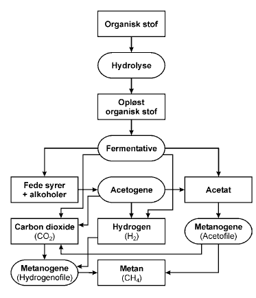 Figur 3.1. Mikrobiel nedbrydning af organisk materiale under anaerobe forhold (efter Christensen et al., 1996)