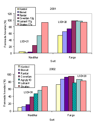 Figur 4. blomkålshoveder med kvalitetsfejl 'frønnede' ved dækning med forskellige materialer i 2001 og 2002 