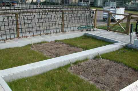 Figure 6. Clear pesticidedamage on the grass shown in august. The frame in the background is used to apply lack of water. To the right is shown electric cables collected to TDR probes to determine water content and instruments for temperature recording