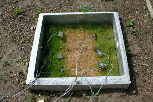 igur 6.12. Små biobede er etableret i lysimetre (70x70 cm). I bunden er fyldt ca. 50 cm sand, derpå 10 cm ler, 50 cm biobedsmateriale og græstørv af rullegræs (se fuldskalabiobed). Udvanding af pesticider den 13. maj og den 28. november, 2002. Foto den 24. maj.