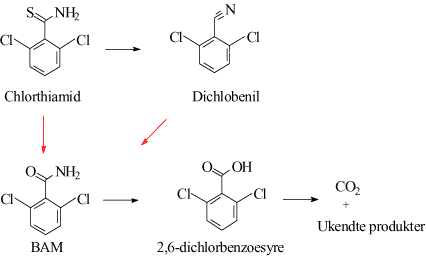 Figur 2.1 Nedbrydningsveje for chlorthiamid, dichlobenil og BAM