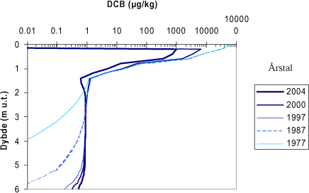 Figur A6. Modelleret indhold af dichlobenil i vædskefasen under behandlet areal på sandlokalitet