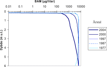 Figur A7: Modelleret indhold af BAM i vædskefasen under behandlet areal på sandlokalitet