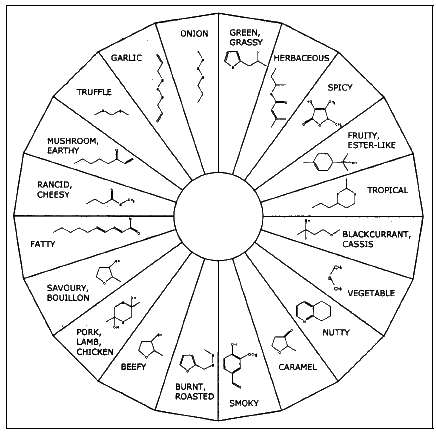 Figur 4.1. Dufthjulet viser, hvilke aromakemikalier der typiske forbindes med de viste duftnoter. For læbeplejeprodukter er de anvendte parfumestoffer de, der er til højre i hjulet: de frugtagtige, tropiske og solbærlignende. Figuren er modificeret efter (9)