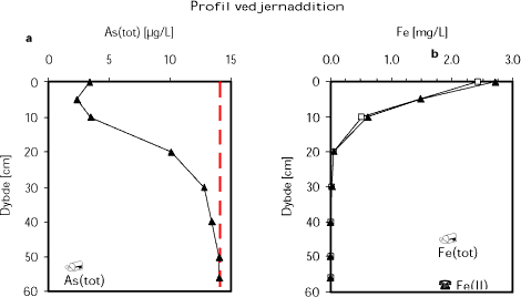 Koncentrationen af As(tot) (a) og Fe(tot) og Fe(II) (b) som funktion af dybden i Filter 1, Elmevej Vandværk, ved addition af Fe(II) til indløbsvandet fra rentvandstanken