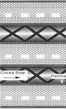 Membranenss opbygning for forsøgsanlæg. Det urene spildevand løber i filterkanal (cross flow), og urenheder opsamles på membranoverfladen (perme). Det rene vand fortsætter gennem filteroverfladen til de mange kanaler i membranmaterialet.