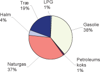Figur 4-1 Brændselsforbrug i husholdningers forbrændingsanlæg for 2002 fordelt på brændselstyper (Illerup & Nielsen, 2004).
